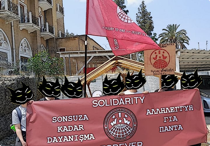 From mediation to direct action: Solidarity unions in Cyprus and beyond